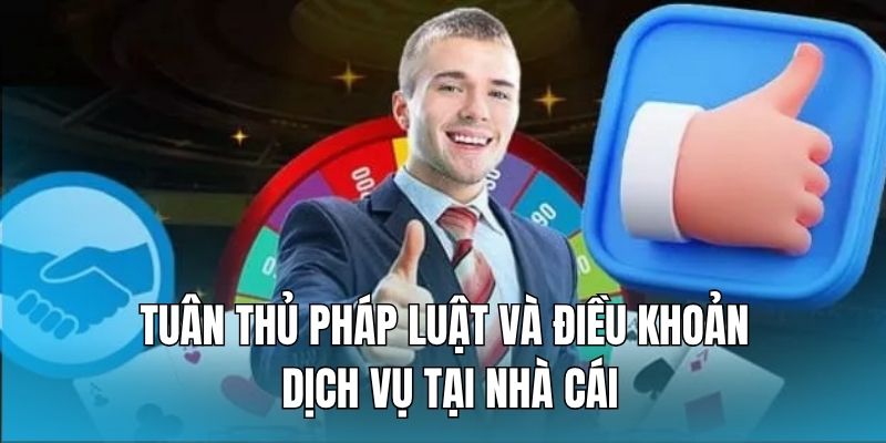 bon-phan-cua-hoi-vien-khi-tham-gia-ca-cuoc-tai-nha-cai