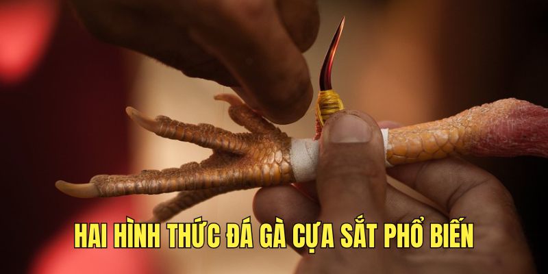 hinh-thuc-choi-ke-cua-sat-pho-bien-hien-nay