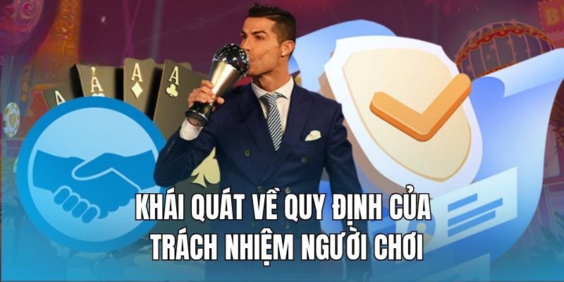 so-luoc-mot-so-dieu-khoan-quy-dinh-trach-nhiem-nguoi-choi