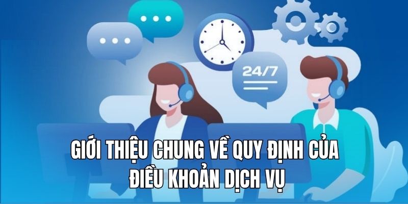 so-luoc-ve-quy-dinh-chung-trong-dieu-khoan-dich-vu