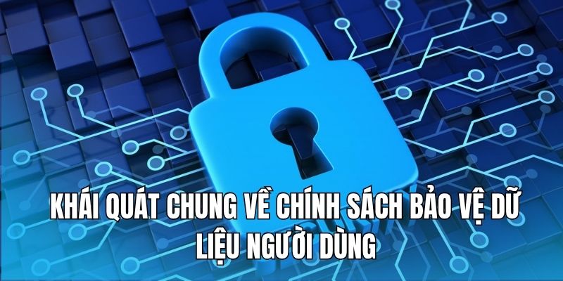 tim-hieu-chung-ve-chinh-sach-bao-mat-tren-nen-tang