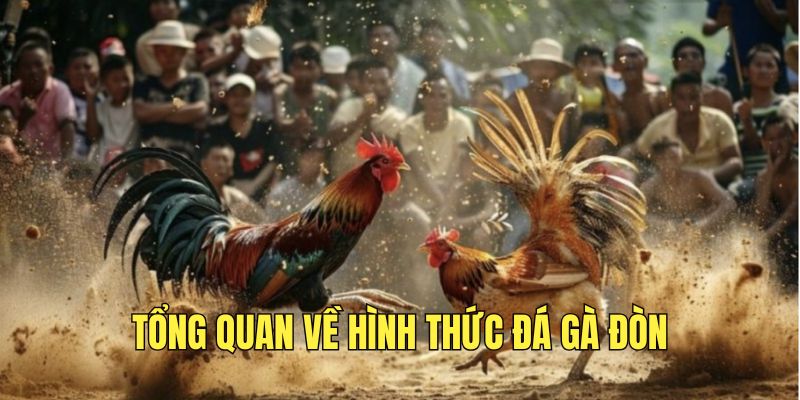 tim-hieu-hinh-thuc-choi-da-ga-don-hap-dan