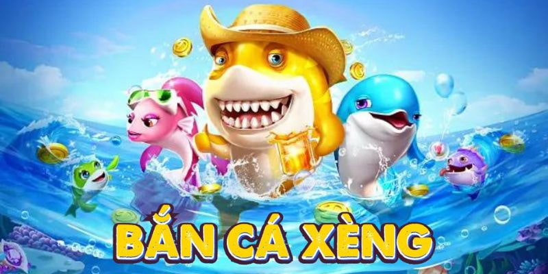 tong-quan-doi-net-ve-ban-ca-xeng