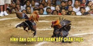 trai-nghiem-hinh-anh-cung-am-thanh-chan-thuc
