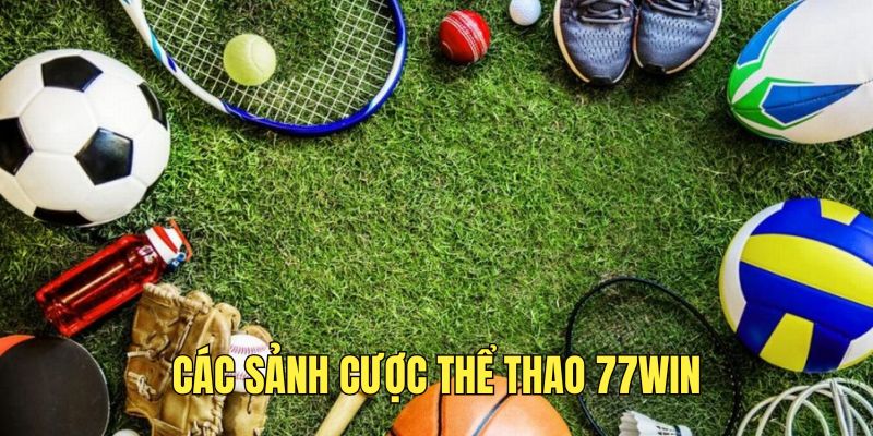 trai-nghiem-sanh-cuoc-the-thao-tai-77win-noi-tieng
