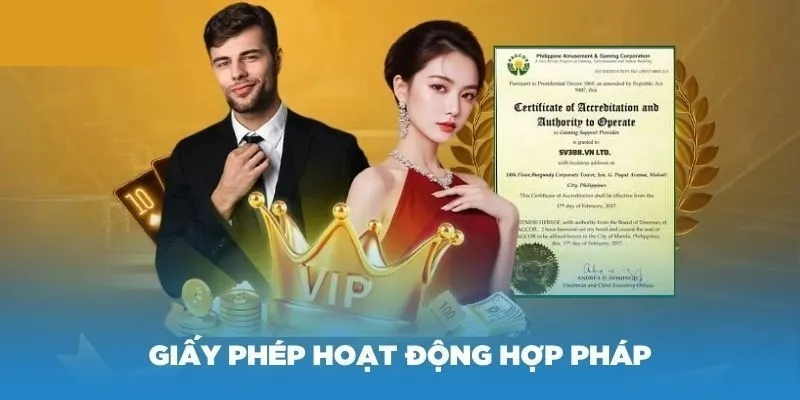tong-hop-cac-loai-giay-phep-cua-thuong-hieu-mm99