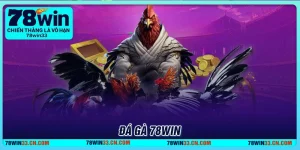 da-ga-78win-dau-truong-choi-ke-dinh-cao-khong-dau-sanh-bang