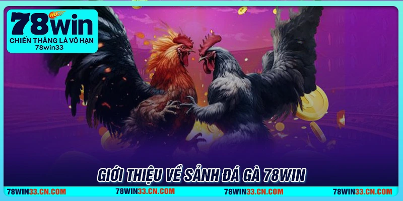 Giới thiệu cơ bản về đá gà 78Win